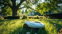robot mower overgrown lawn