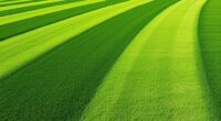 robot mowers create stripes