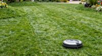 assess lawn s suitability