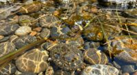 enhanced filtration for clarity