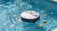 robotic cleaner removes leaves