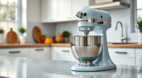 How to Safely Clean Your KitchenAid Professional 600 Mixer