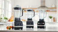 Vitamix 5200 vs Vitamix E310 Explorian: Full Comparison