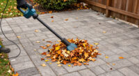 Skip Traditional Rakes: The Tool That Makes Cleaning Up Leaves Faster & Easier